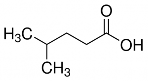 4-Methylpentanoic acid 