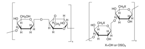 Agar 