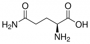 L-Glutamine 
