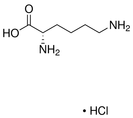 L-Lysine hydrochloride 