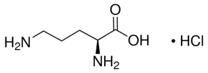 L-Ornithine hydrochloride 