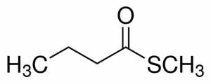 Methyl thiobutyrate 