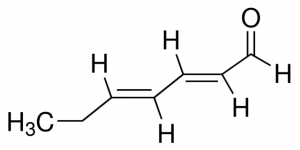 trans,trans-2,4-Heptandienal 