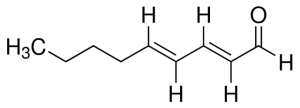 trans,trans-2,4-Nonadienal 