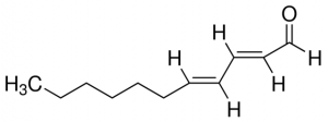 trans,trans-2,4-Undecadienal 