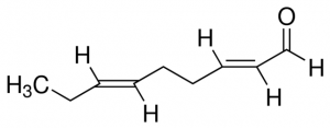 trans,trans-2,6-Nonadienal 