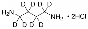 1,4-Diamino(butane-d8) dihydrochloride 