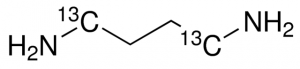 1,4-Diaminobutane-1,4-13C2 