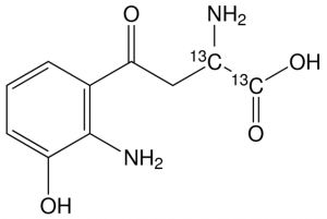 3-Hydroxy-DL-kynurenine-(butyric-1,2-13C2) dihydrobromide 