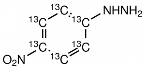 4-Nitrophenyl-13C6-hydrazine 