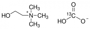 Choline bicarbonate-13C solution 