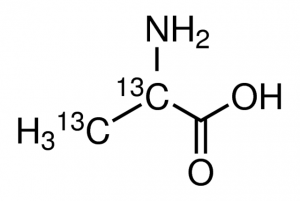DL-Alanine-2,3-13C2 485578-500MG