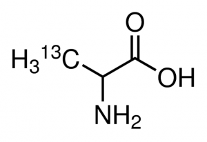DL-Alanine-3-13C 492337-500MG