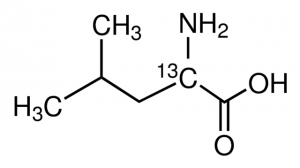 DL-Leucine-2-13C 489018-1G