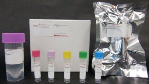 In Vitro Protein Expression (iPE-SS) Kit for disulfide-containing proteins 797006-1KT