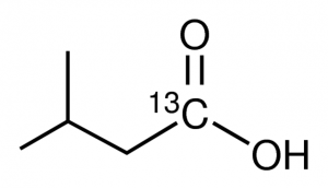 Isovaleric acid-1-13C 487635-5G