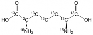 L,L-,-Diaminopimelic acid-13C7,15N2 