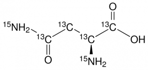 L-Asparagine-13C4,15N2 641952-100MG