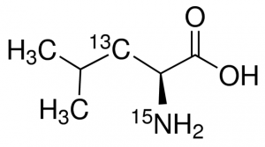 L-Leucine-3-13C,15N 