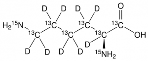 L-Lysine-13C6,15N2,2,3,3,4,4,5,5,6,6-d9 monohydrochloride 