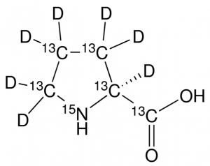L-Proline-13C5,15N,2,3,3,4,4,5,5-d7 