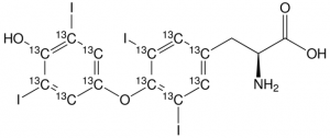 L-Thyroxine-(diphenyl-13C12) 