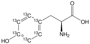 L-Tyrosine-(phenyl-13C6) 