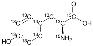 L-Tyrosine-13C9,15N 607991-250MG