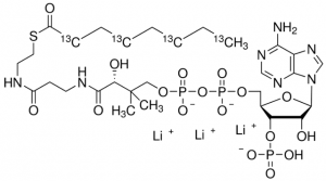 Octanoyl-2,4,6,8-13C4 Coenzyme A, lithium salt 
