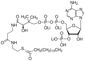 Palmitoyl-1-13C coenzyme A lithium salt 