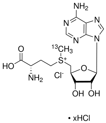 S-(5-Adenosyl) -L-methionine-(S-methyl-13C)chloride 