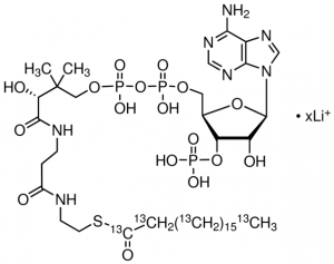 Stearoyl-13C18 coenzyme A lithium salt 