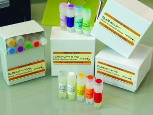 TLAM-I1LVproS-13CH3 Methyl Labeling Kit 