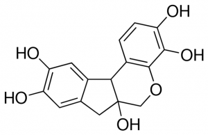 Hematoxylin Solution, Mayers MHS80-2.5L