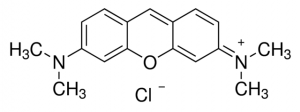Pyronin Y 
