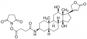 3-Amino-3-deoxydigoxigenin hemisuccinamide, succinimidyl ester 