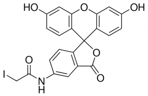 5-(Iodoacetamido)fluorescein 