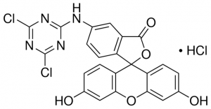 5-([4,6-Dichlorotriazin-2-yl]amino)fluorescein hydrochloride 