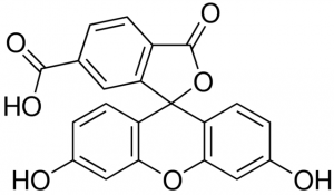 6-Carboxyfluorescein 