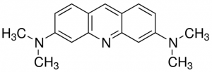 Acridine Orange base 
