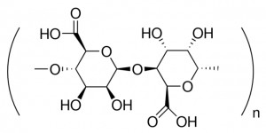 Alginic acid from brown algae 