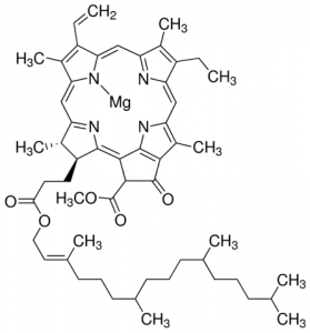 Chlorophyll a 