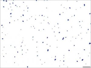 Decolorizer Solution 