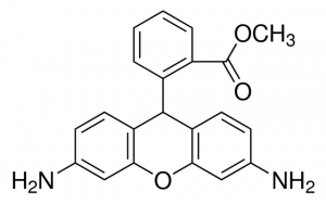 Dihydrorhodamine 123 