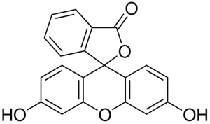 Fluorescein (free acid) 