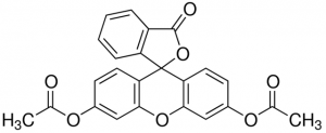 Fluorescein diacetate 