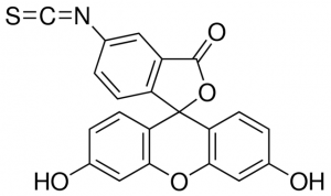 Fluorescein isothiocyanate isomer I 