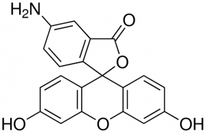 Fluoresceinamine, isomer I 