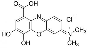 Gallocyanine 