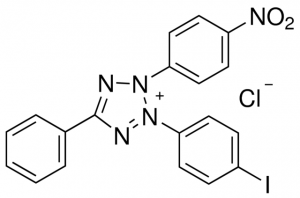 Iodonitrotetrazolium chloride 